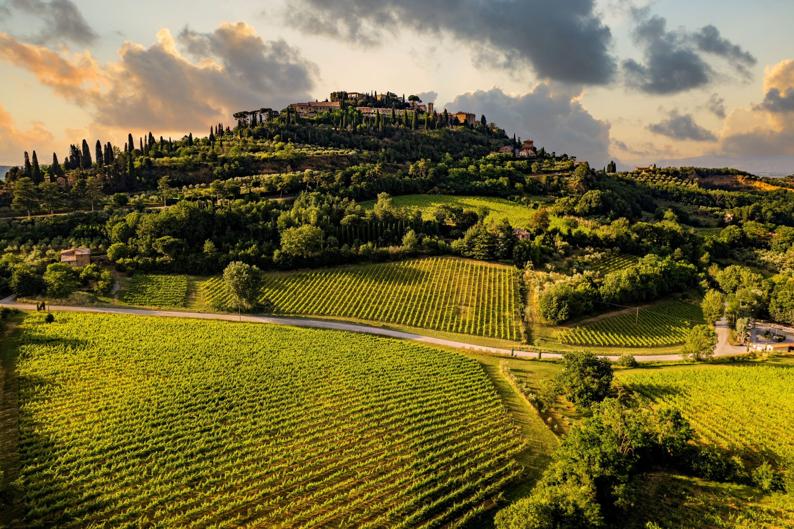 paesaggio montepulciano vigne