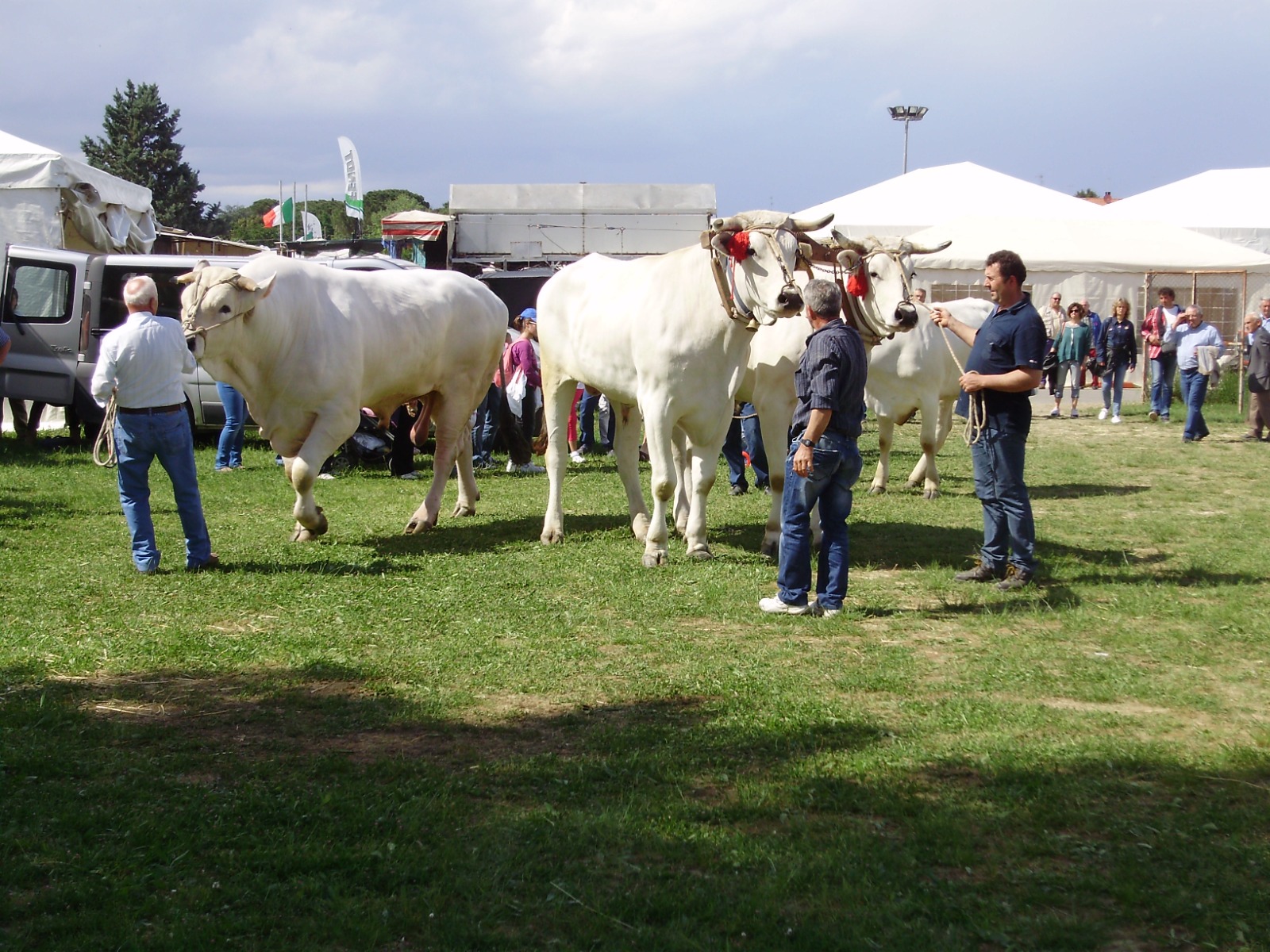 tre_berte_fiera_agricoltura