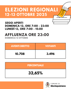 scheda affluenza voto regionali ore 23