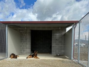 Canile Ossaia Cortona