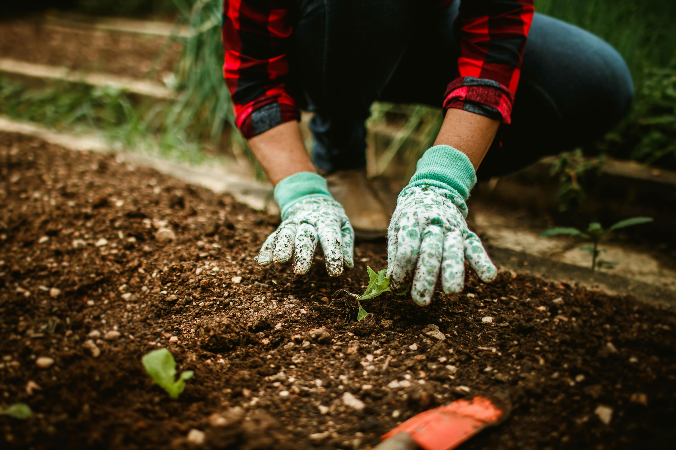 mani che lavorano la terra in un orto