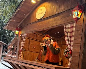 Elfo George neve Montepulciano