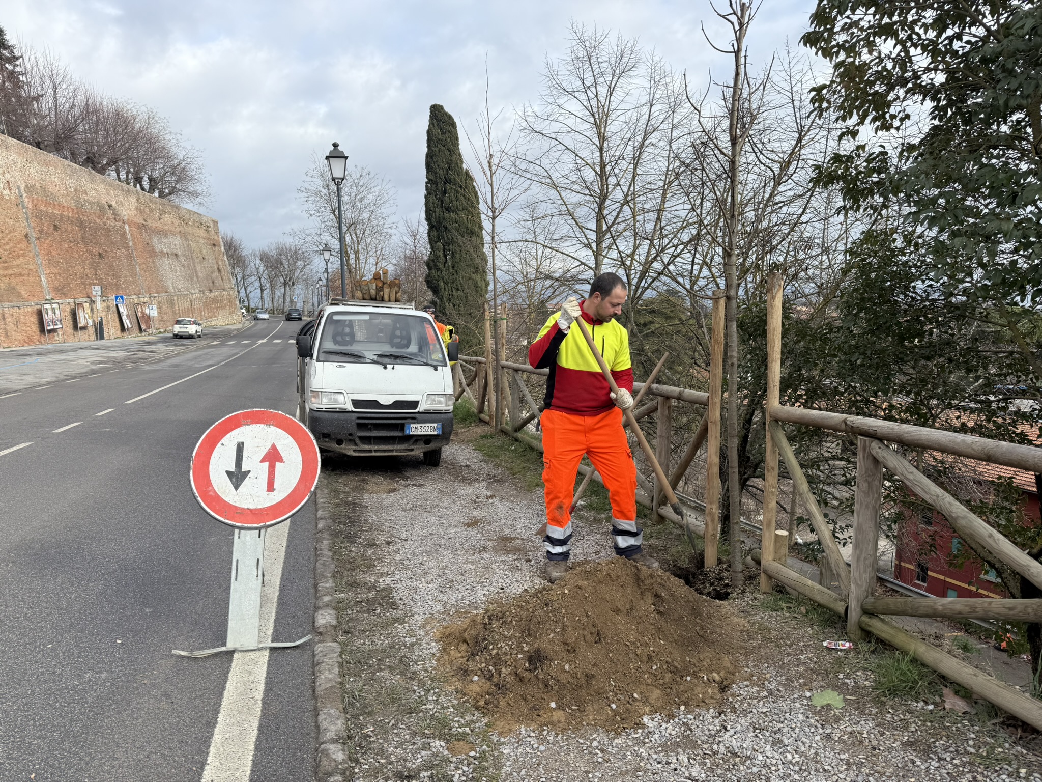 Lavori piantumazione alberi in Viale 1° Maggio